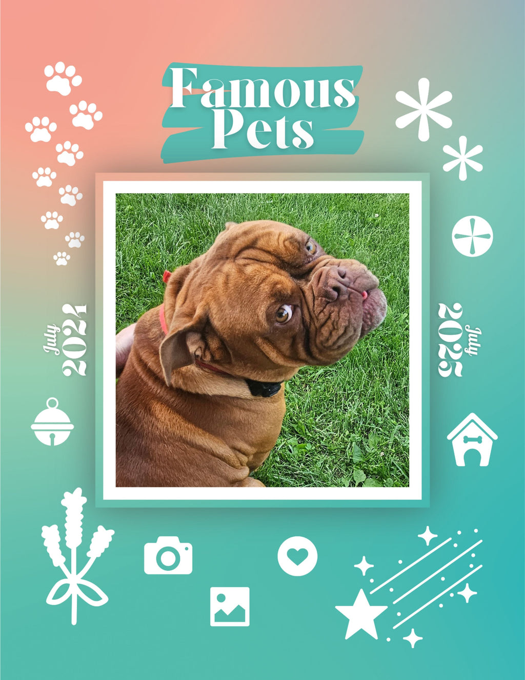 Famous Pets: July 2024-July 2025 Wall Calendar (Pre-Order)
