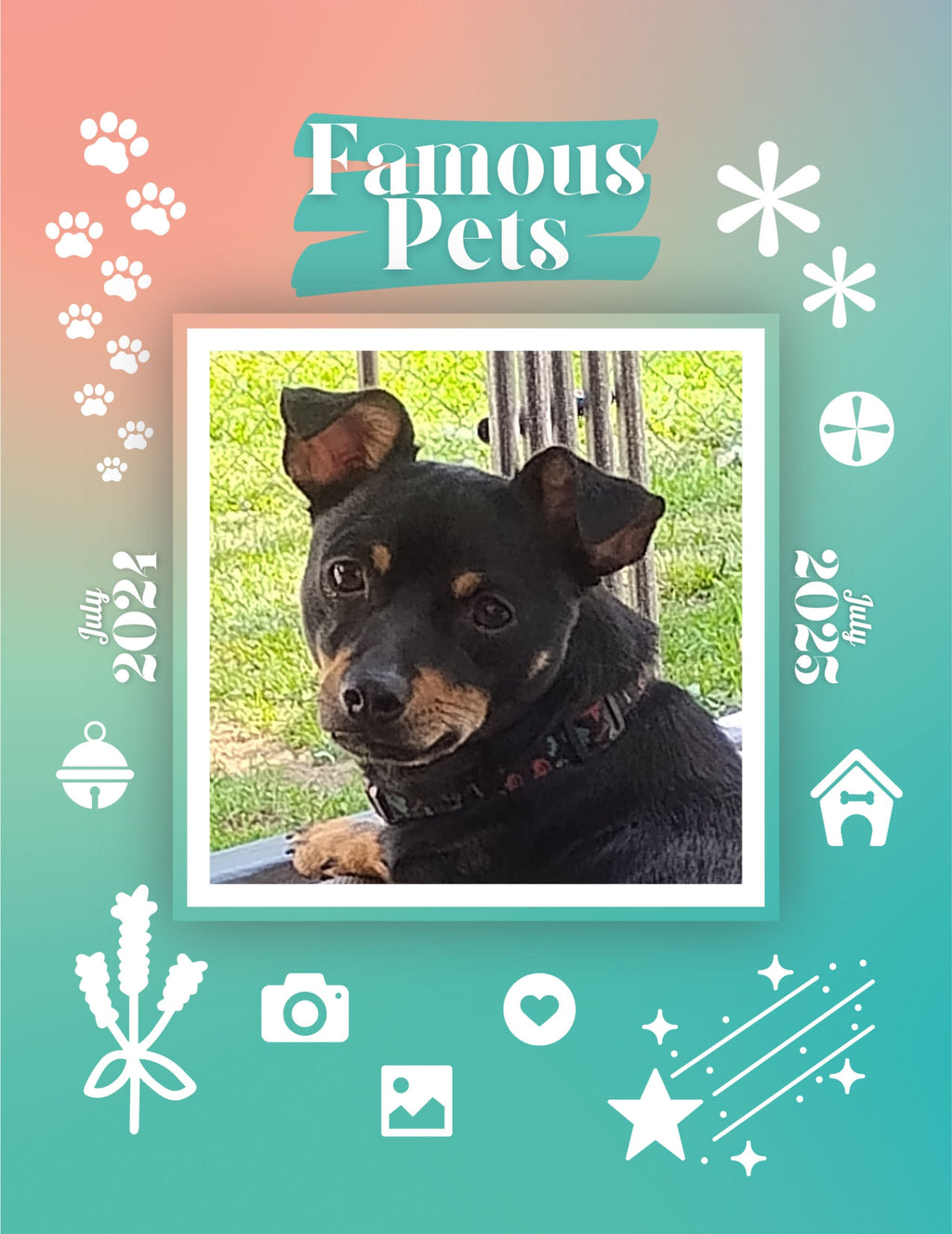 Famous Pets: July 2024-July 2025 Wall Calendar (Pre-Order)