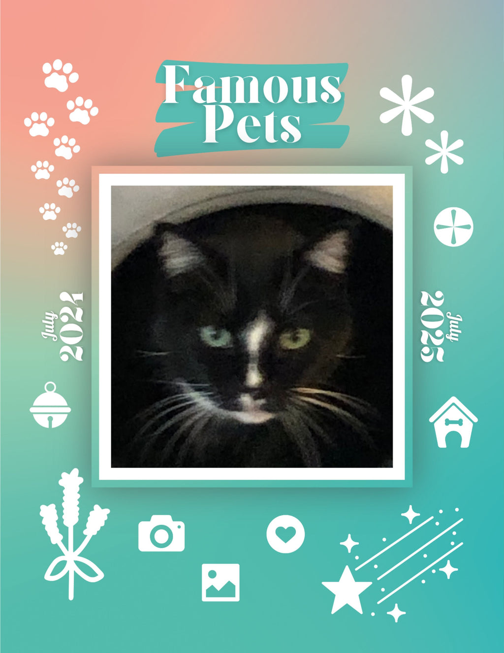 Famous Pets: July 2024-July 2025 Wall Calendar (Pre-Order)