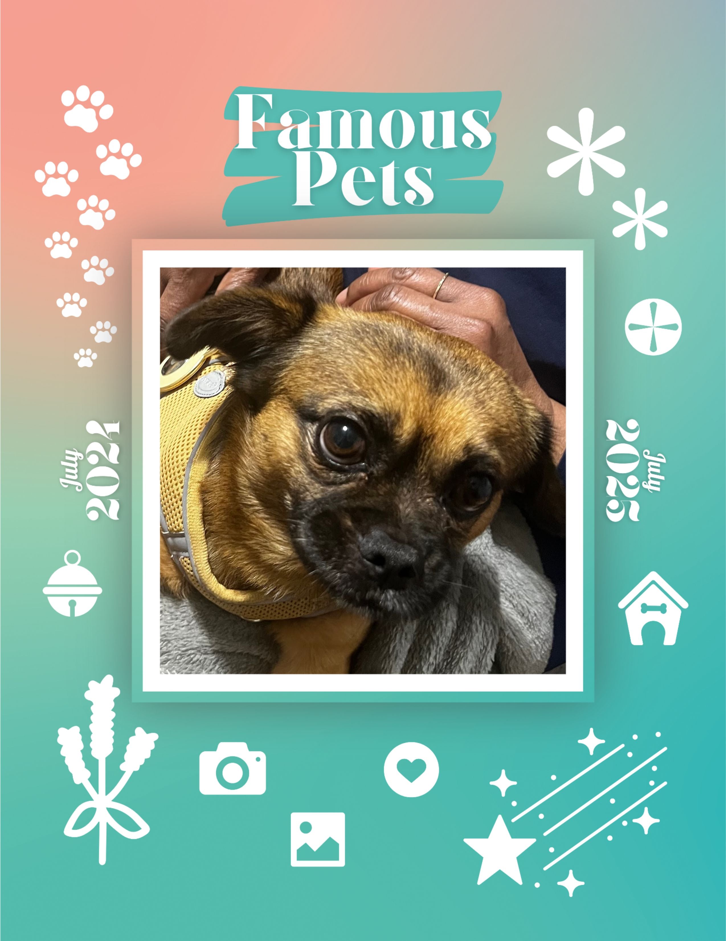 Famous Pets: July 2024-July 2025 Wall Calendar (Pre-Order)