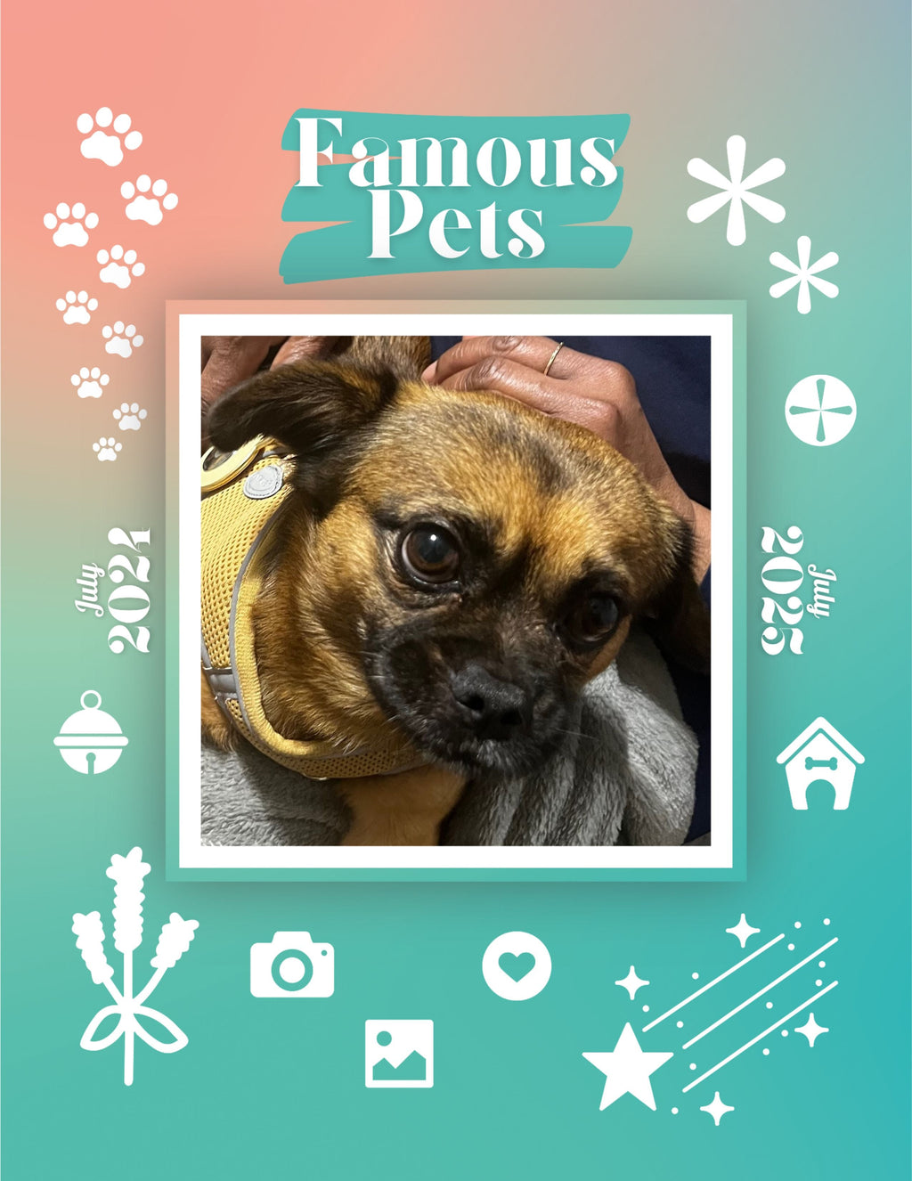 Famous Pets: July 2024-July 2025 Wall Calendar (Pre-Order)