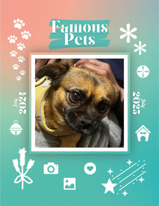 Famous Pets: July 2024-July 2025 Wall Calendar (Pre-Order)