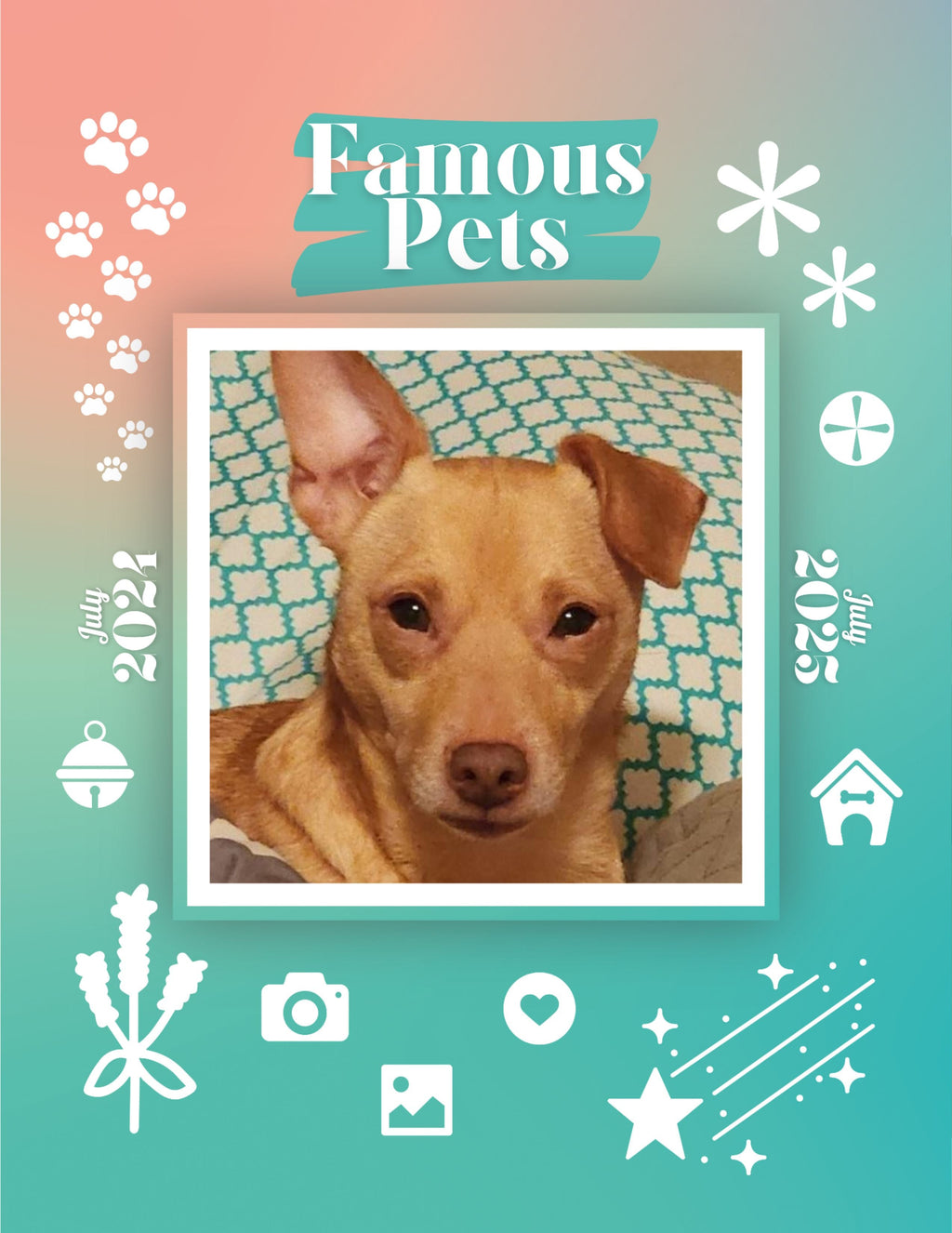 Famous Pets: July 2024-July 2025 Wall Calendar (Pre-Order)