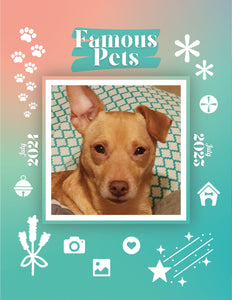 Famous Pets: July 2024-July 2025 Wall Calendar (Pre-Order)