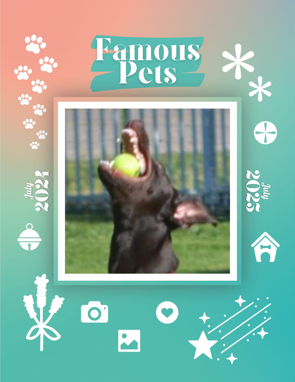 Famous Pets: July 2024-July 2025 Wall Calendar (Pre-Order)