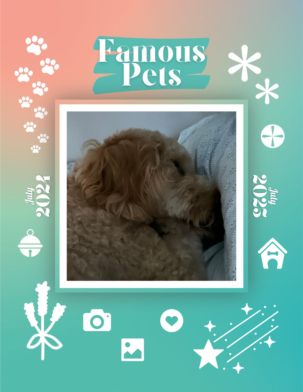 Famous Pets: July 2024-July 2025 Wall Calendar (Pre-Order)