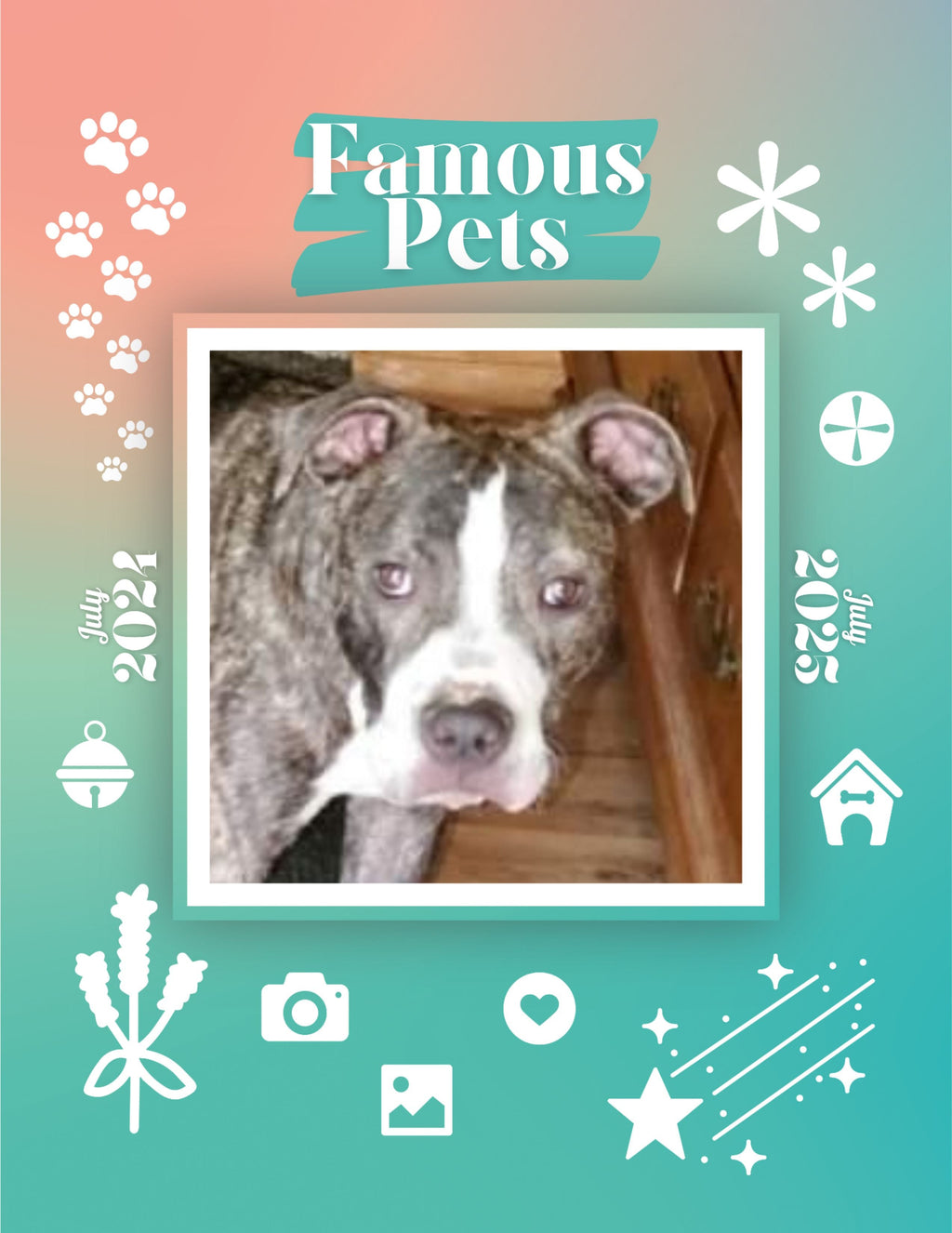 Famous Pets: July 2024-July 2025 Wall Calendar (Pre-Order)