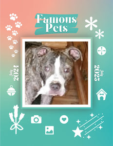 Famous Pets: July 2024-July 2025 Wall Calendar (Pre-Order)