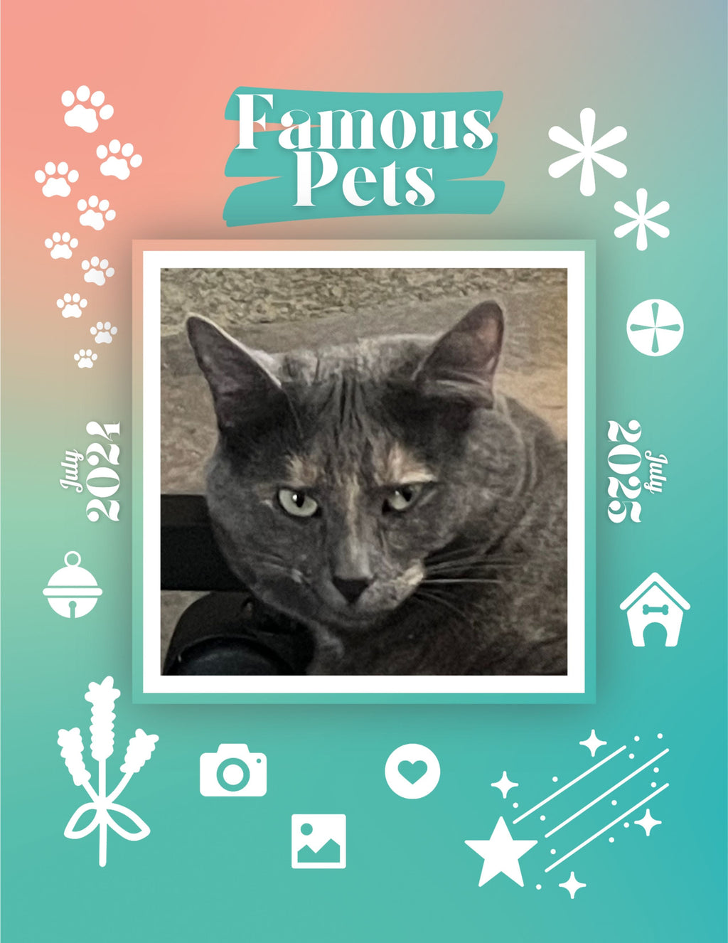 Famous Pets: July 2024-July 2025 Wall Calendar (Pre-Order)