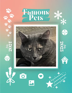 Famous Pets: July 2024-July 2025 Wall Calendar (Pre-Order)