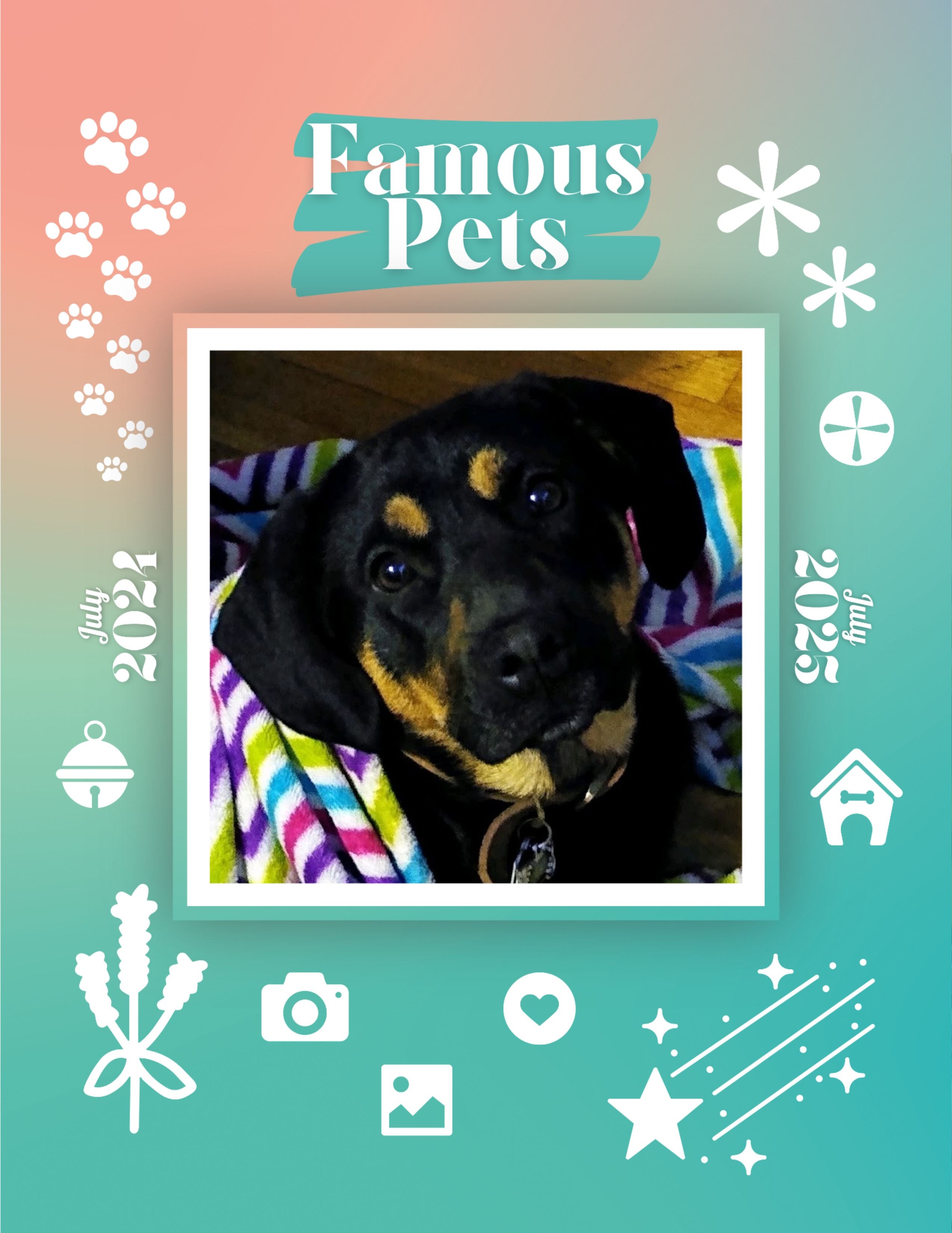 Famous Pets: July 2024-July 2025 Wall Calendar (Pre-Order)