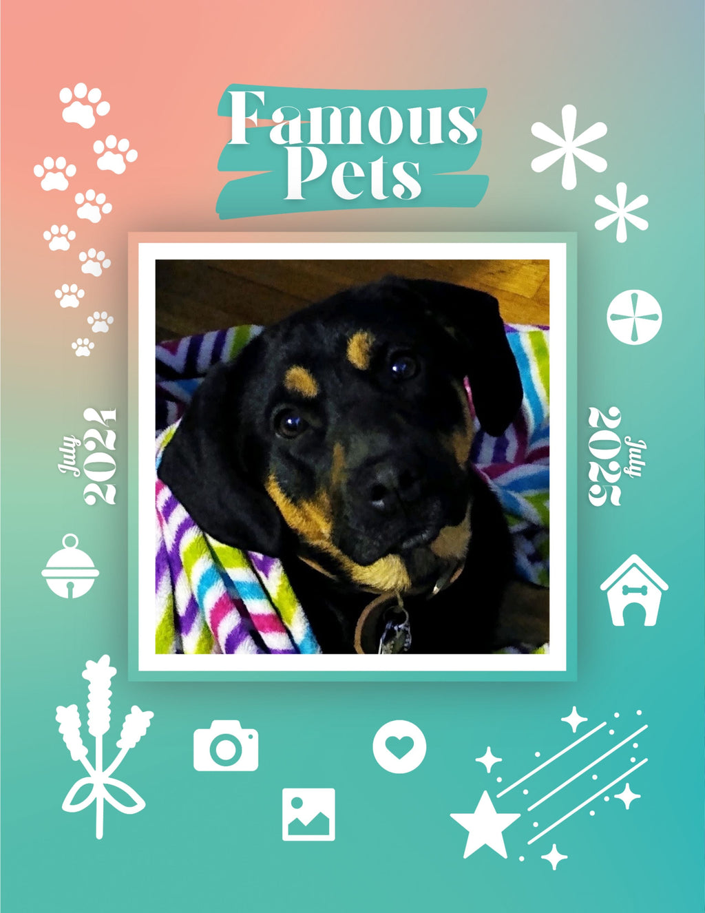 Famous Pets: July 2024-July 2025 Wall Calendar (Pre-Order)
