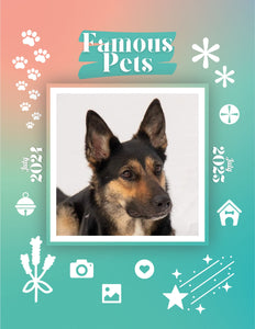 Famous Pets: July 2024-July 2025 Wall Calendar (Pre-Order)