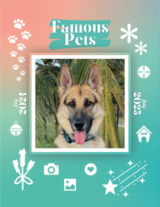 Famous Pets: July 2024-July 2025 Wall Calendar (Pre-Order)