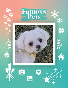 Famous Pets: July 2024-July 2025 Wall Calendar (Pre-Order)