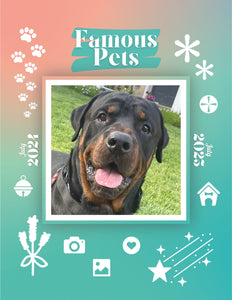 Famous Pets: July 2024-July 2025 Wall Calendar (Pre-Order)