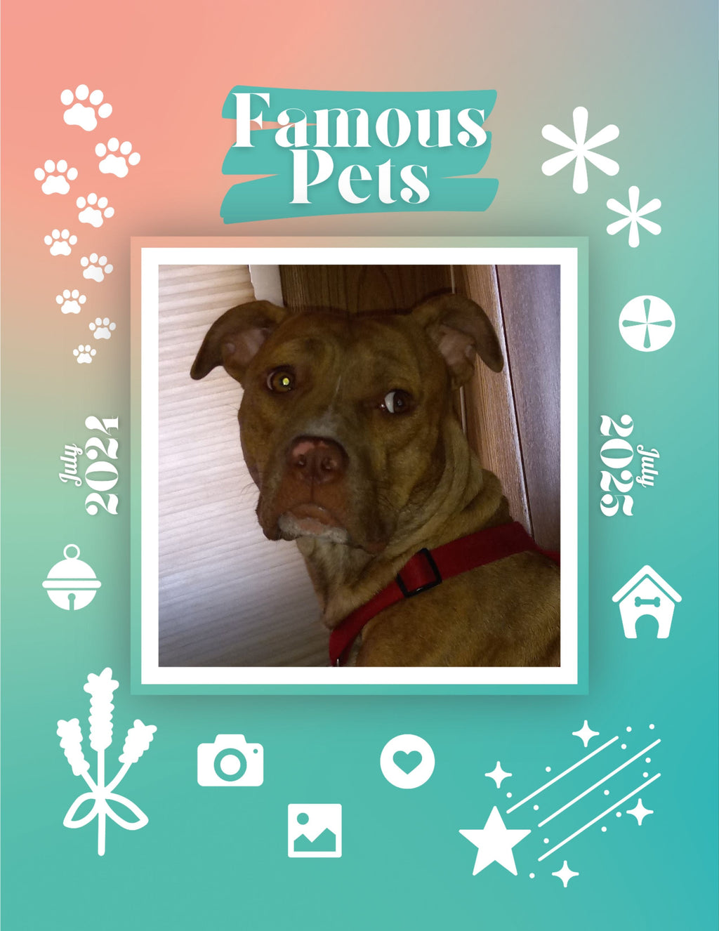 Famous Pets: July 2024-July 2025 Wall Calendar (Pre-Order)