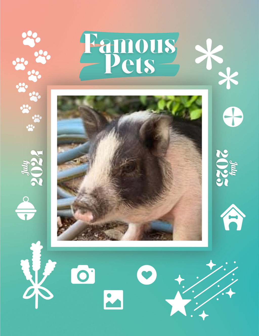 Famous Pets: July 2024-July 2025 Wall Calendar (Pre-Order)