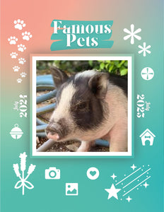 Famous Pets: July 2024-July 2025 Wall Calendar (Pre-Order)