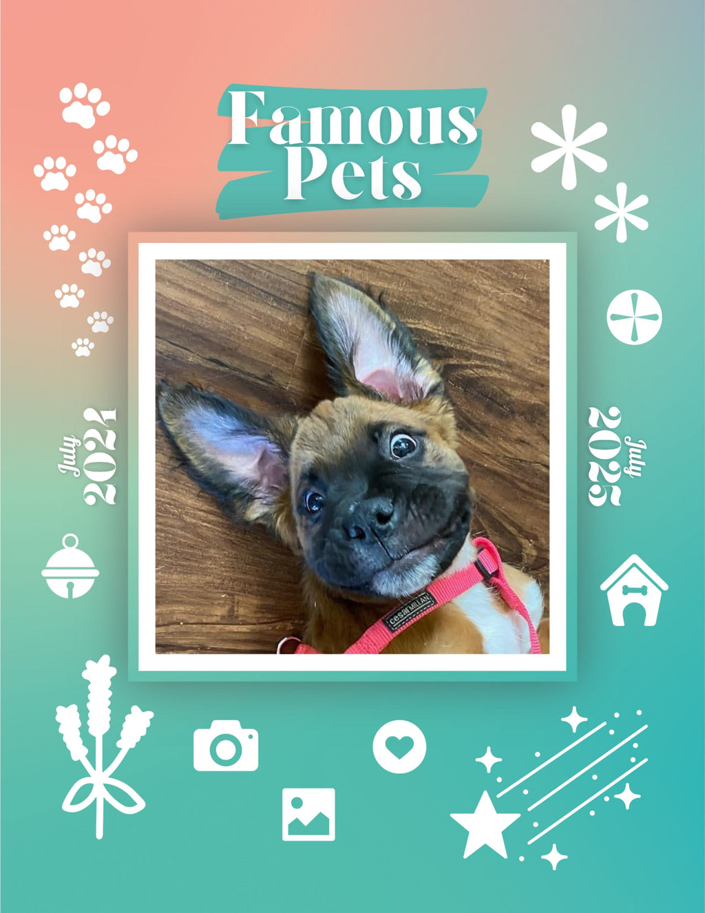 Famous Pets: July 2024-July 2025 Wall Calendar (Pre-Order)