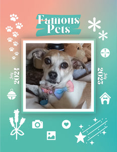 Famous Pets: July 2024-July 2025 Wall Calendar (Pre-Order)