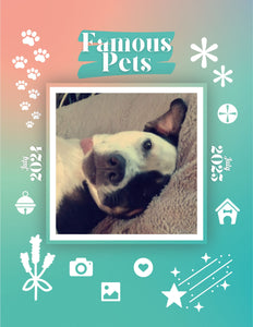 Famous Pets: July 2024-July 2025 Wall Calendar (Pre-Order)