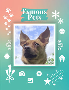 Famous Pets: July 2024-July 2025 Wall Calendar (Pre-Order)