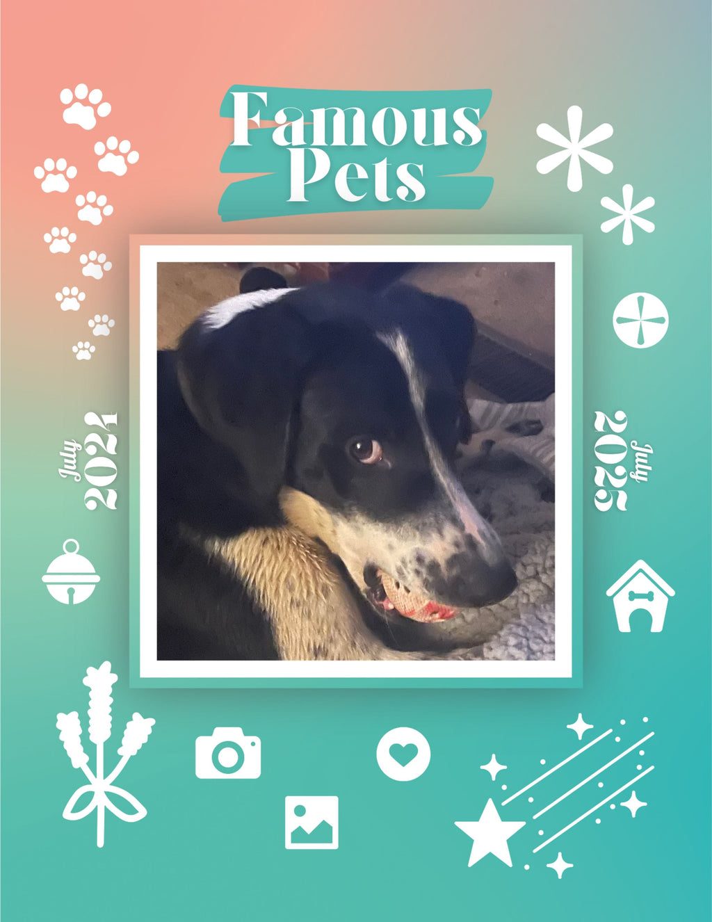 Famous Pets: July 2024-July 2025 Wall Calendar (Pre-Order)