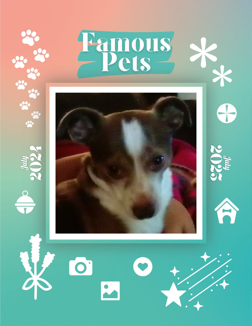 Famous Pets: July 2024-July 2025 Wall Calendar (Pre-Order)