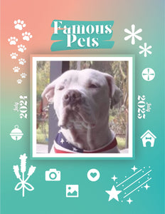 Famous Pets: July 2024-July 2025 Wall Calendar (Pre-Order)
