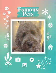 Famous Pets: July 2024-July 2025 Wall Calendar (Pre-Order)