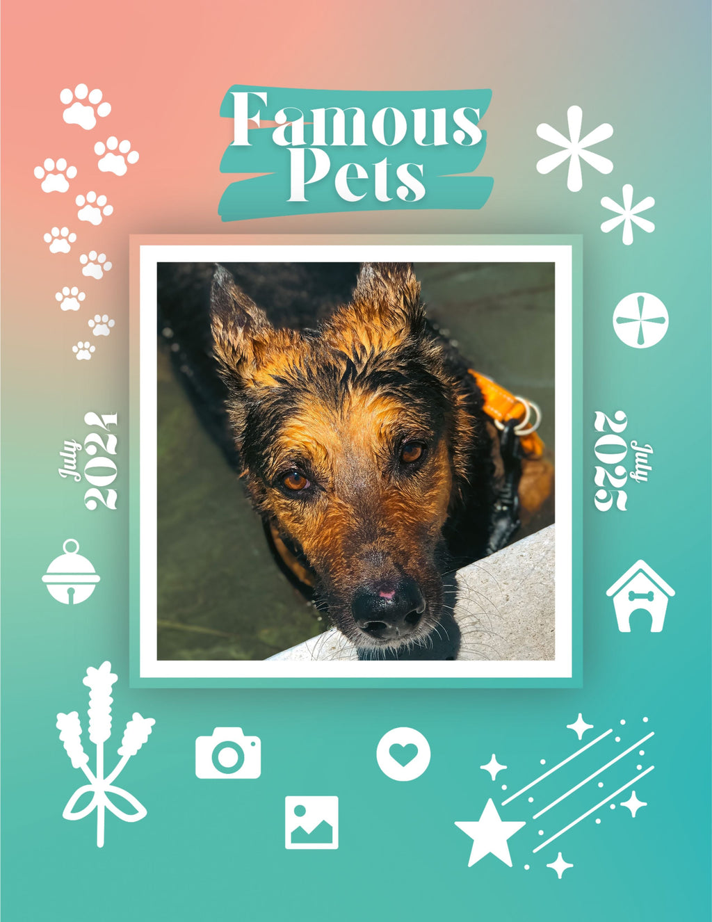 Famous Pets: July 2024-July 2025 Wall Calendar (Pre-Order)