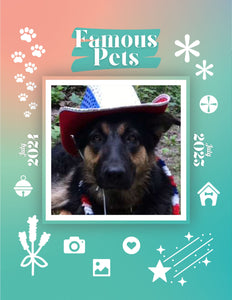 Famous Pets: July 2024-July 2025 Wall Calendar (Pre-Order)