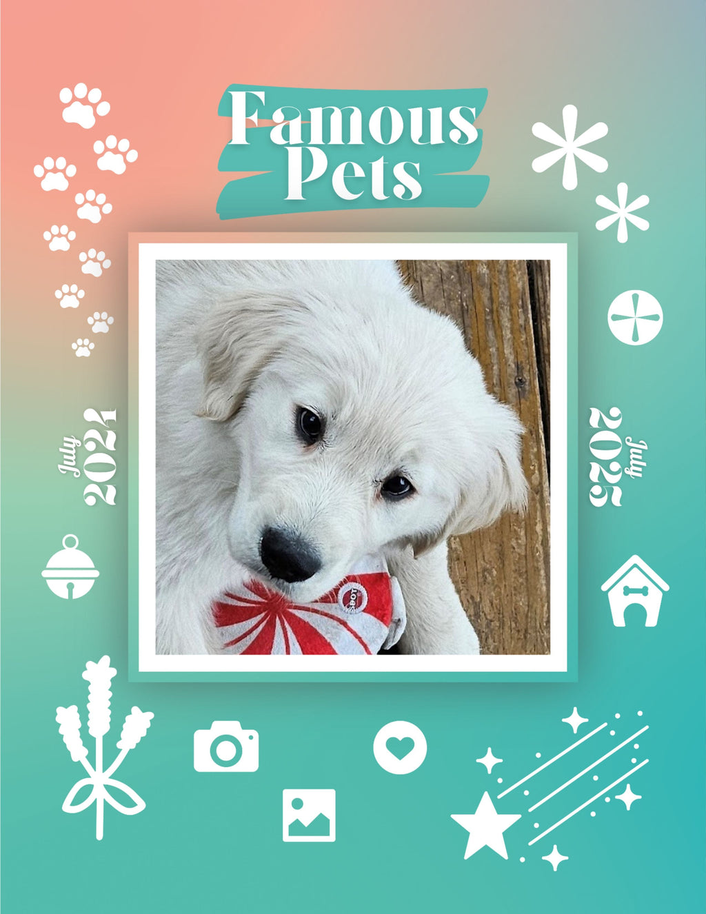 Famous Pets: July 2024-July 2025 Wall Calendar (Pre-Order)