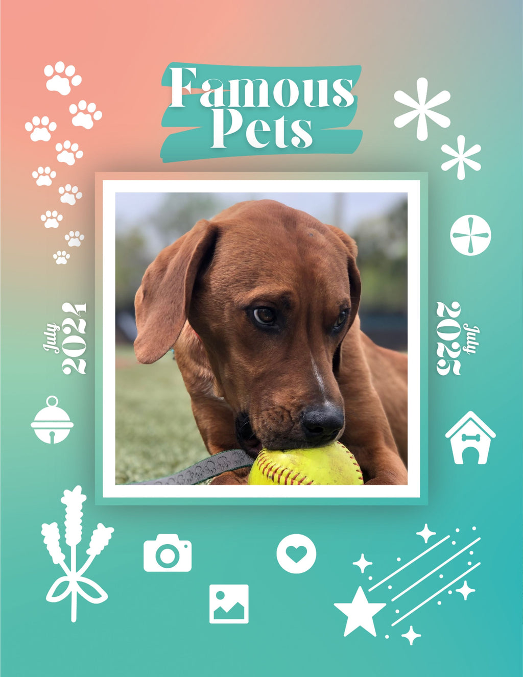 Famous Pets: July 2024-July 2025 Wall Calendar (Pre-Order)