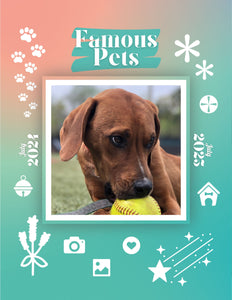 Famous Pets: July 2024-July 2025 Wall Calendar (Pre-Order)