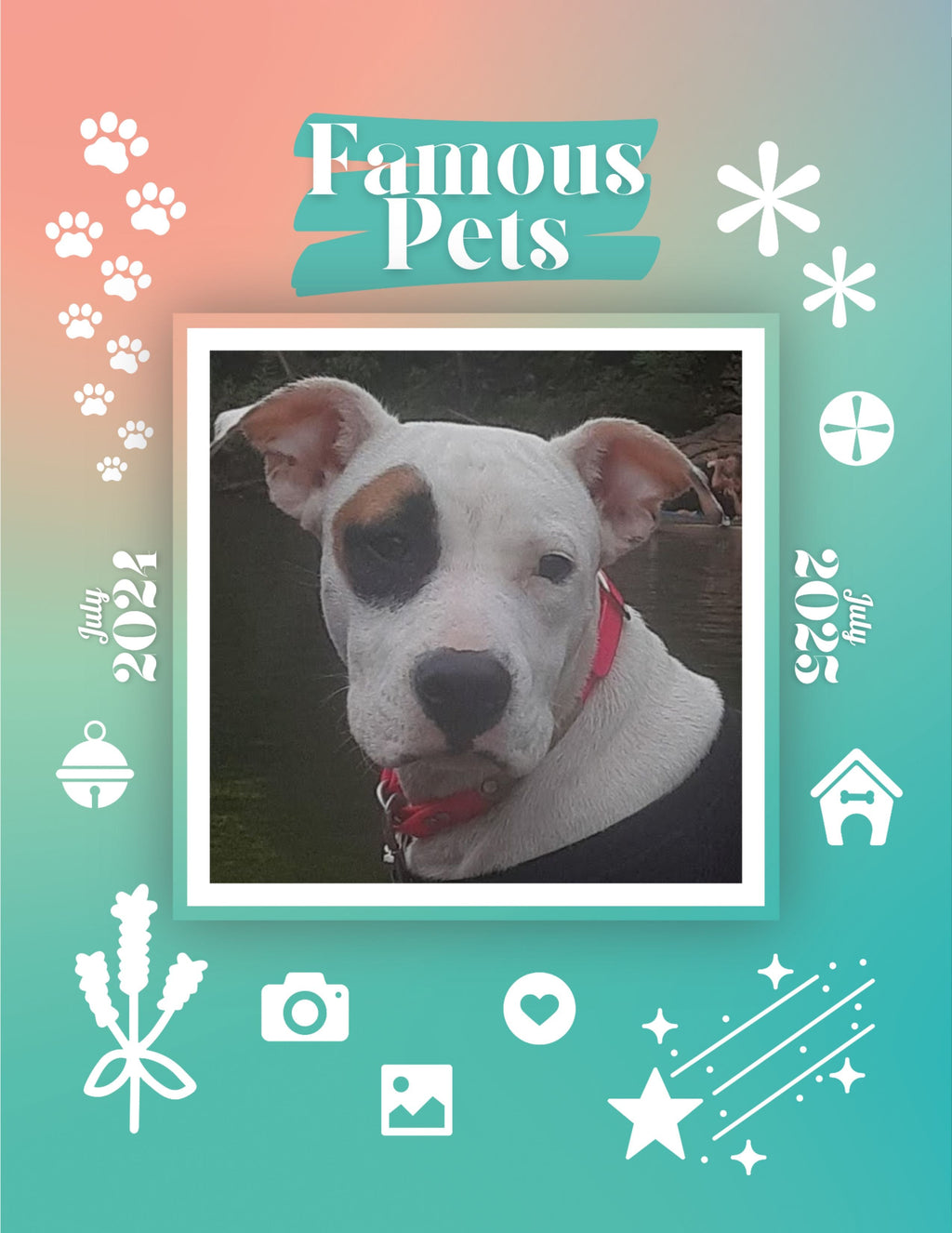 Famous Pets: July 2024-July 2025 Wall Calendar (Pre-Order)
