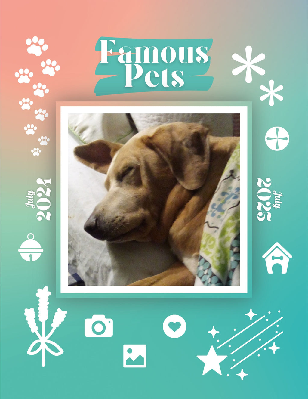 Famous Pets: July 2024-July 2025 Wall Calendar (Pre-Order)