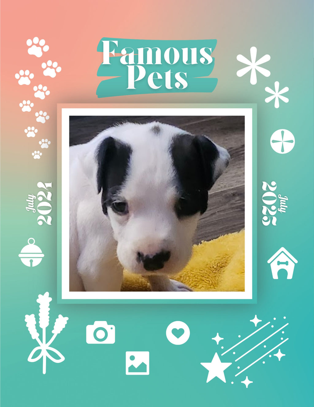 Famous Pets: July 2024-July 2025 Wall Calendar (Pre-Order)