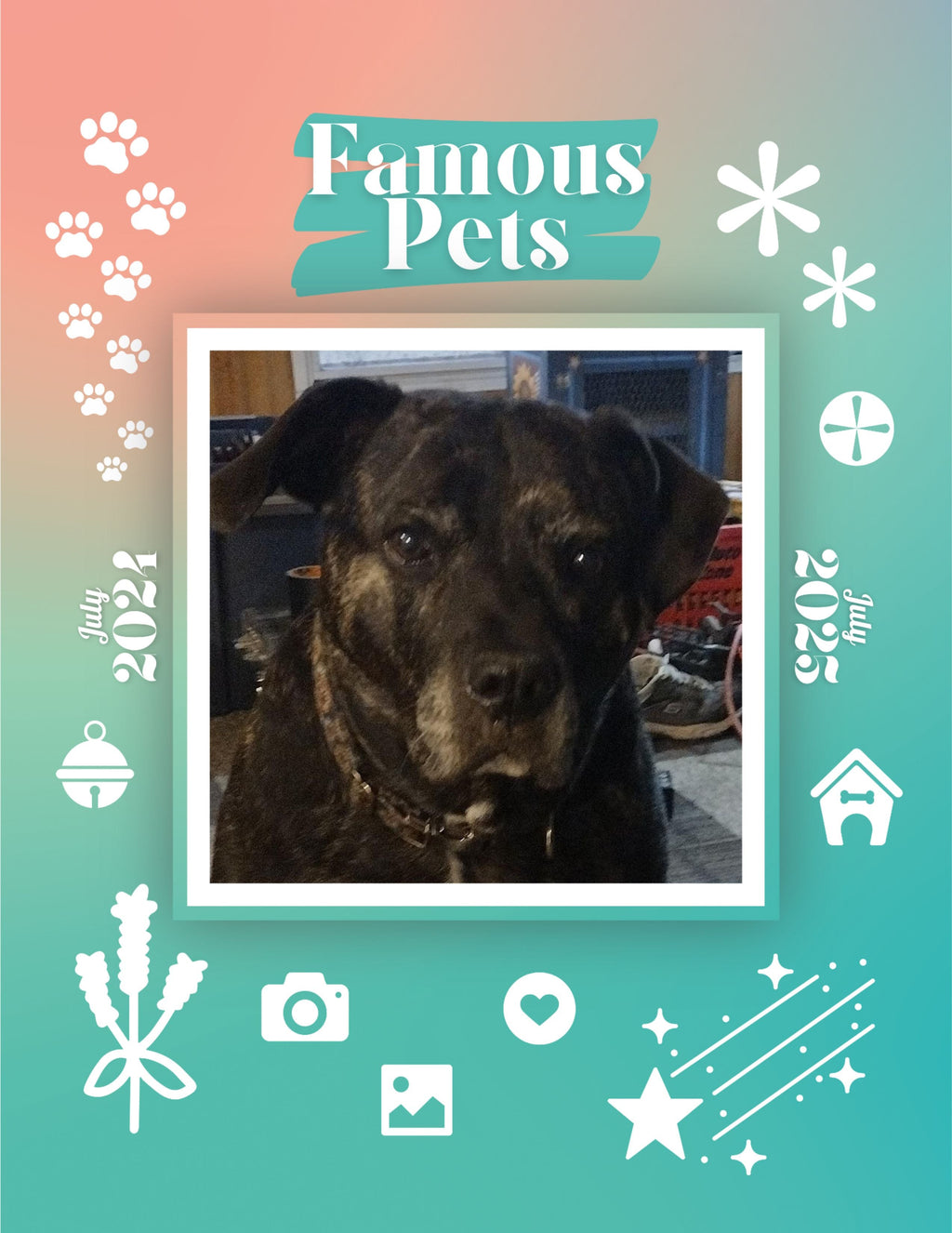 Famous Pets: July 2024-July 2025 Wall Calendar (Pre-Order)