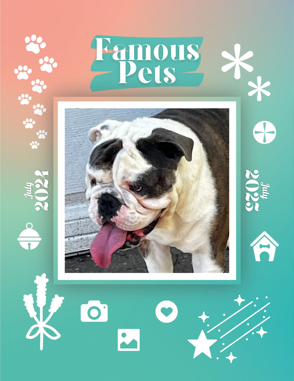 Famous Pets: July 2024-July 2025 Wall Calendar (Pre-Order)