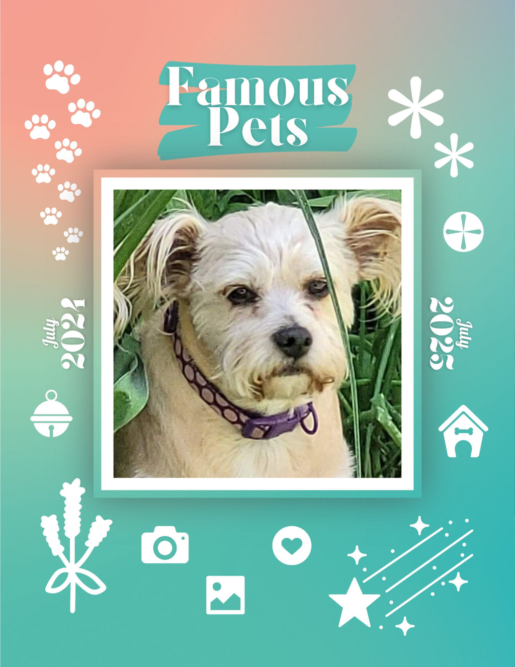 Famous Pets: July 2024-July 2025 Wall Calendar (Pre-Order)