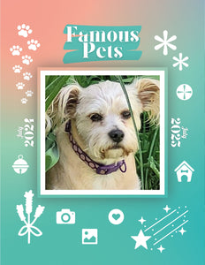 Famous Pets: July 2024-July 2025 Wall Calendar (Pre-Order)