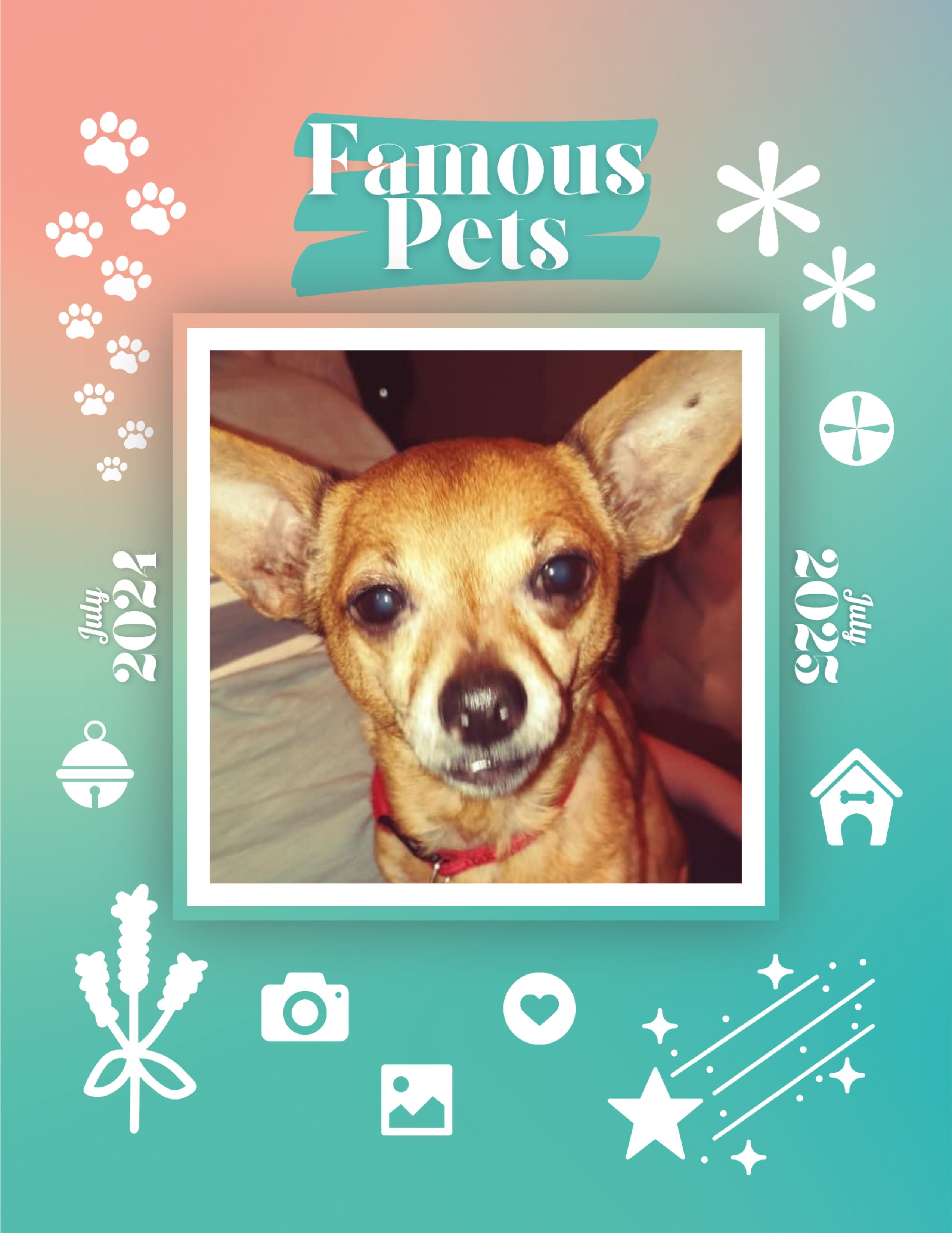 Famous Pets: July 2024-July 2025 Wall Calendar (Pre-Order)