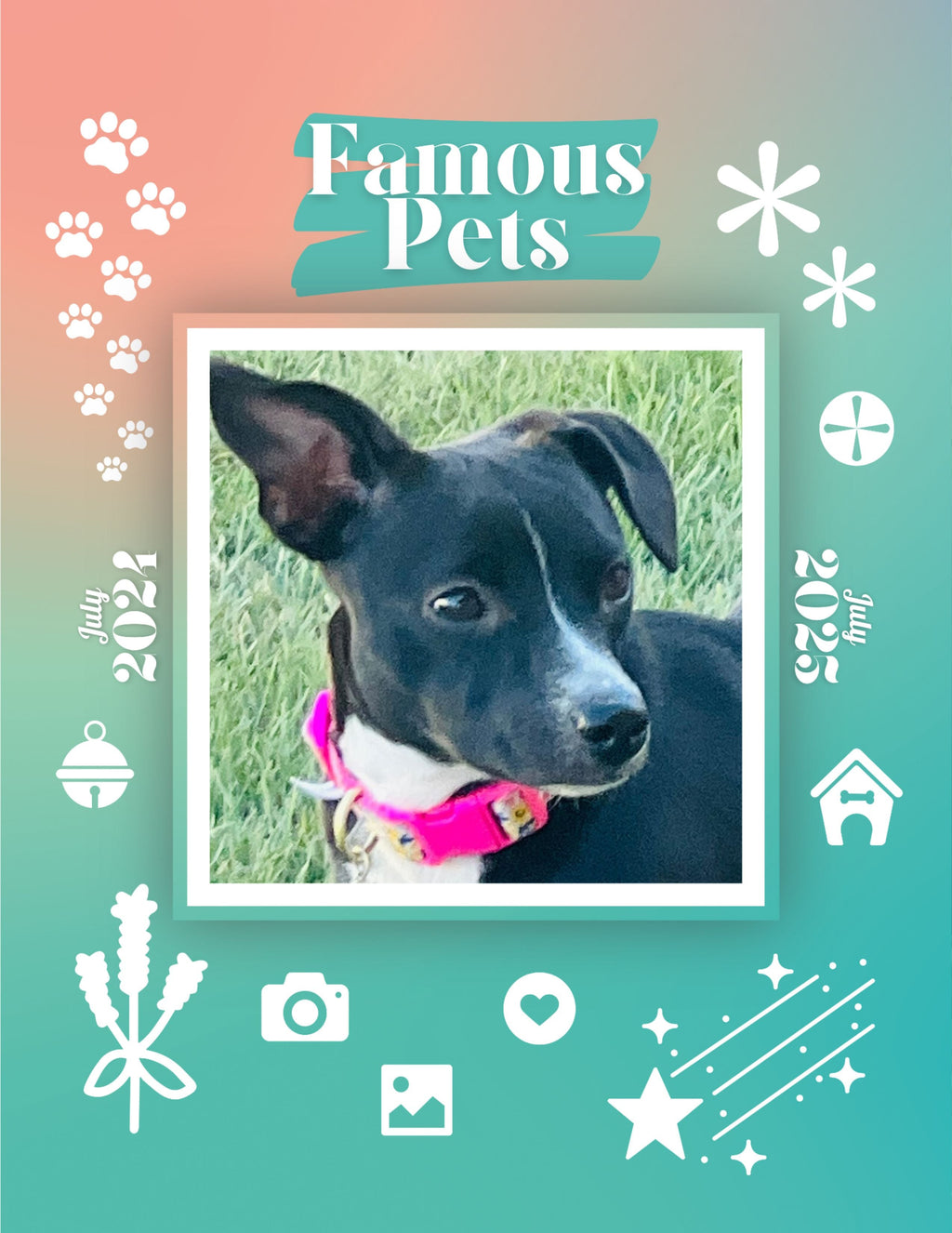 Famous Pets: July 2024-July 2025 Wall Calendar (Pre-Order)