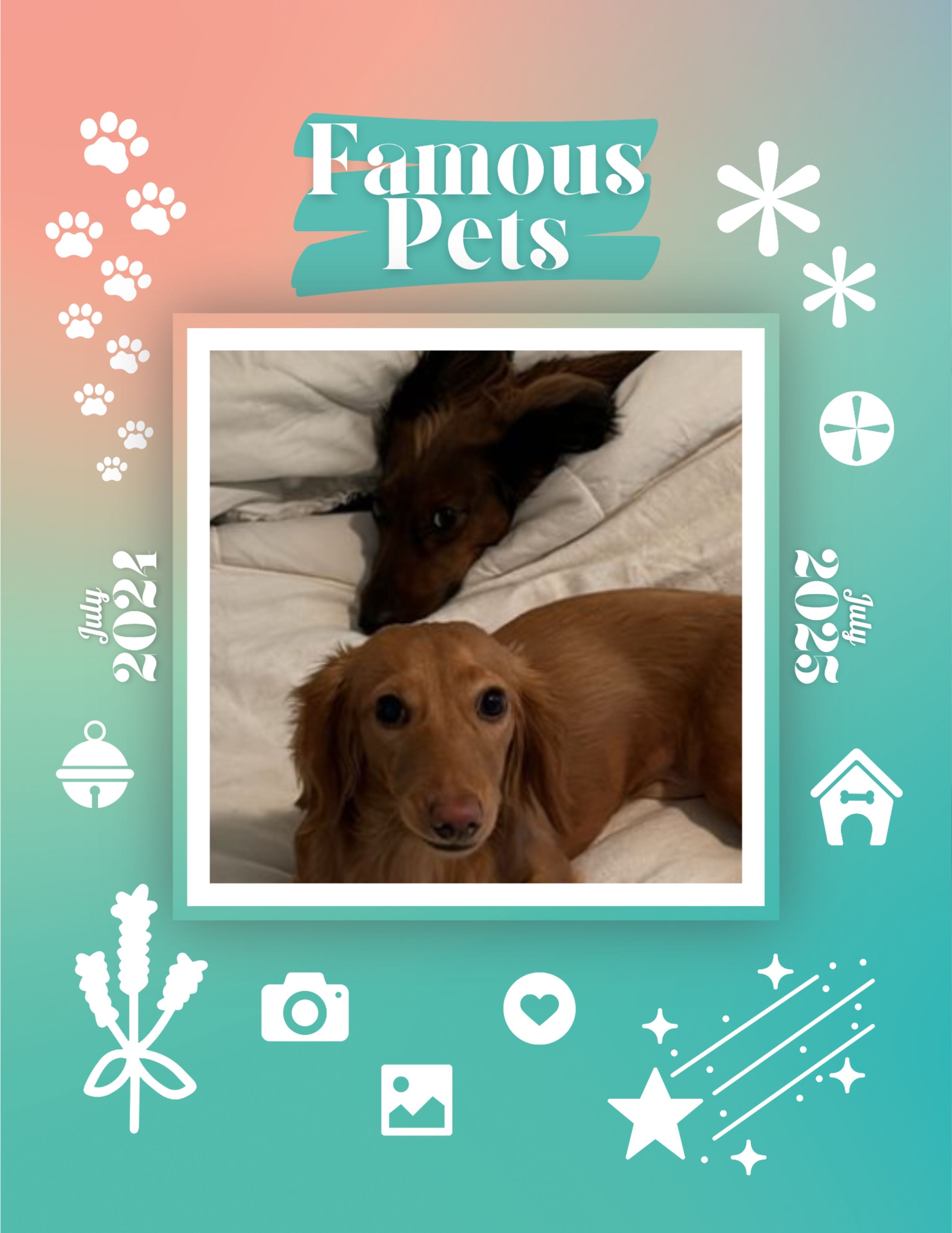 Famous Pets: July 2024-July 2025 Wall Calendar (Pre-Order)