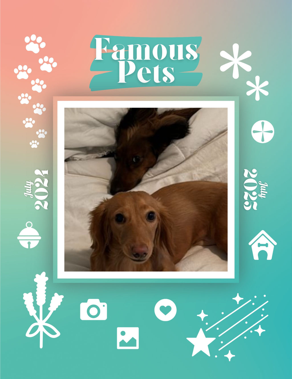 Famous Pets: July 2024-July 2025 Wall Calendar (Pre-Order)