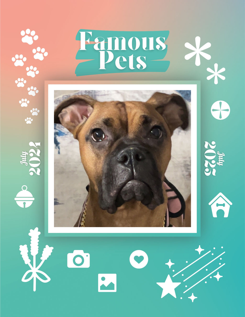 Famous Pets: July 2024-July 2025 Wall Calendar (Pre-Order)