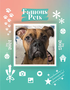 Famous Pets: July 2024-July 2025 Wall Calendar (Pre-Order)