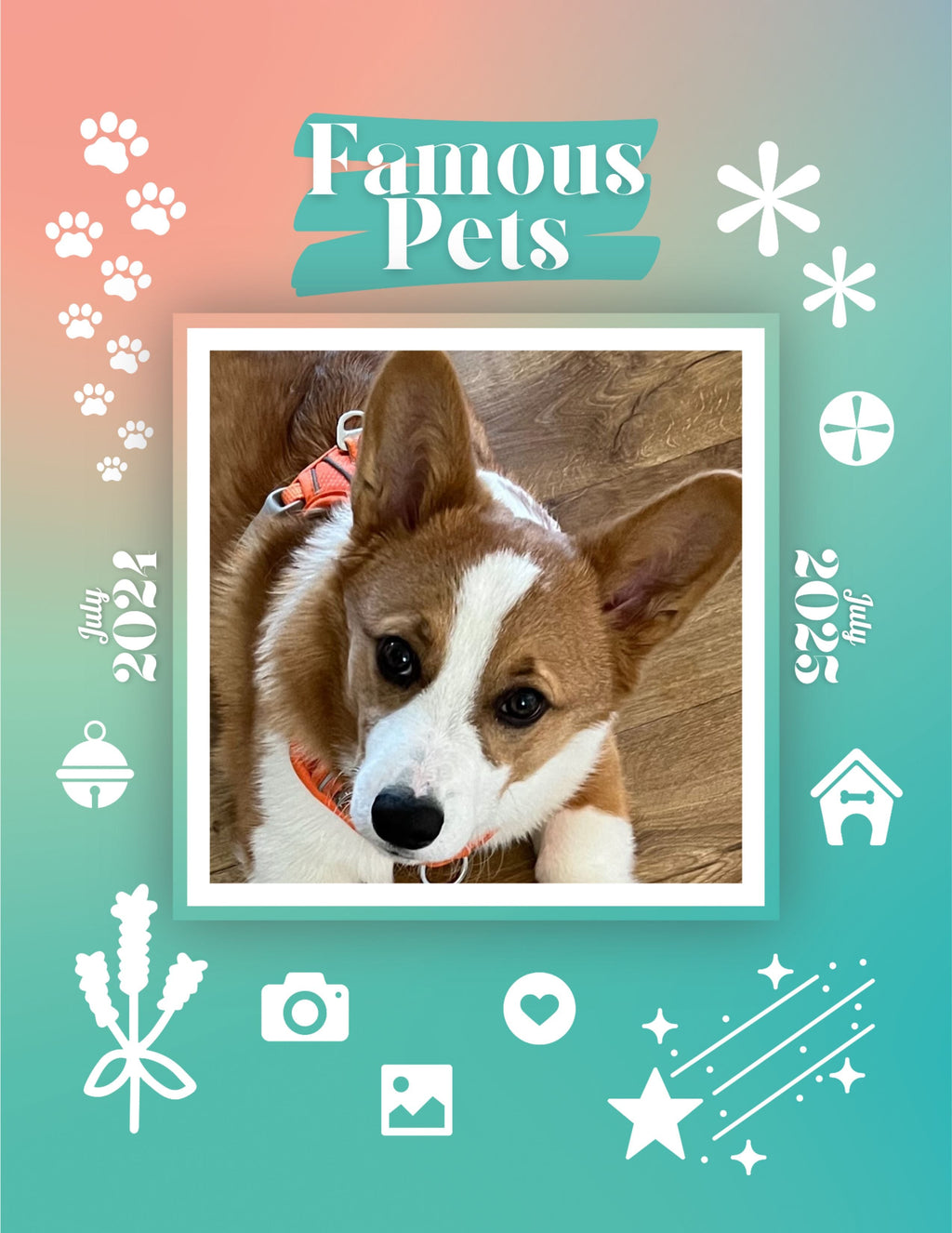 Famous Pets: July 2024-July 2025 Wall Calendar (Pre-Order)